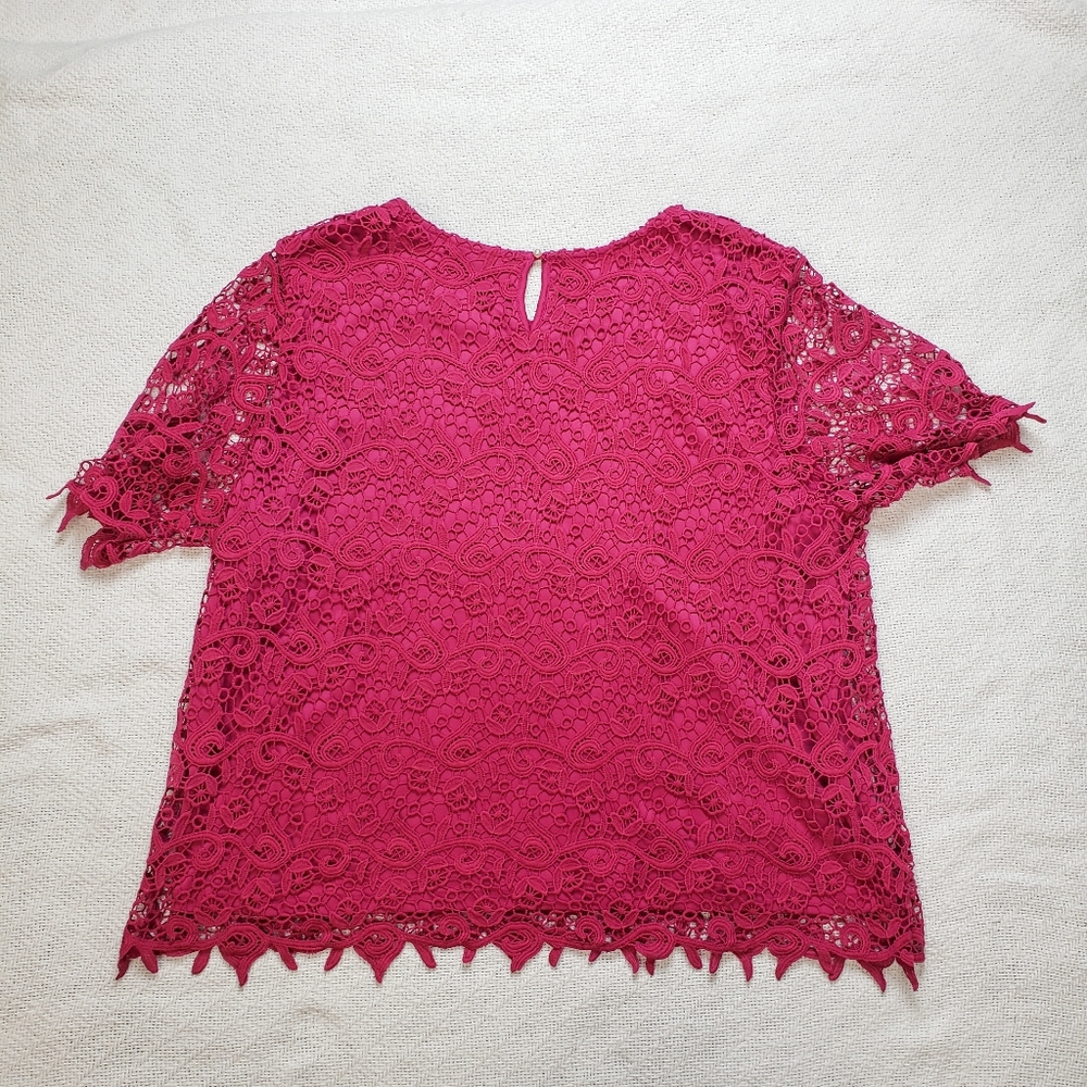Philosophy Lace Overlay Blouse – Fuchsia Pink XXL 2XG
